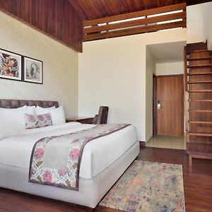 Duplex Suite